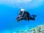 Introductory Dive in Eilat - Thumbnail 3