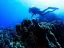 Introductory Dive in Eilat - Thumbnail 4