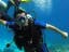 Intro Diving and Snorkeling day Trip - Thumbnail 17