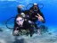 Introductory dive - Thumbnail 1