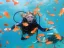 Introductory Dive - Thumbnail 5