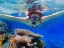 Coral Beach Nature Reserve - Thumbnail 1