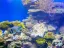 Coral Beach Nature Reserve - Thumbnail 2