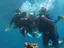 Intro Diving and Snorkeling day Trip - Thumbnail 13
