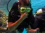 Intro Diving and Snorkeling day Trip - Thumbnail 5