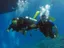 Intro Diving and Snorkeling day Trip - Thumbnail 19