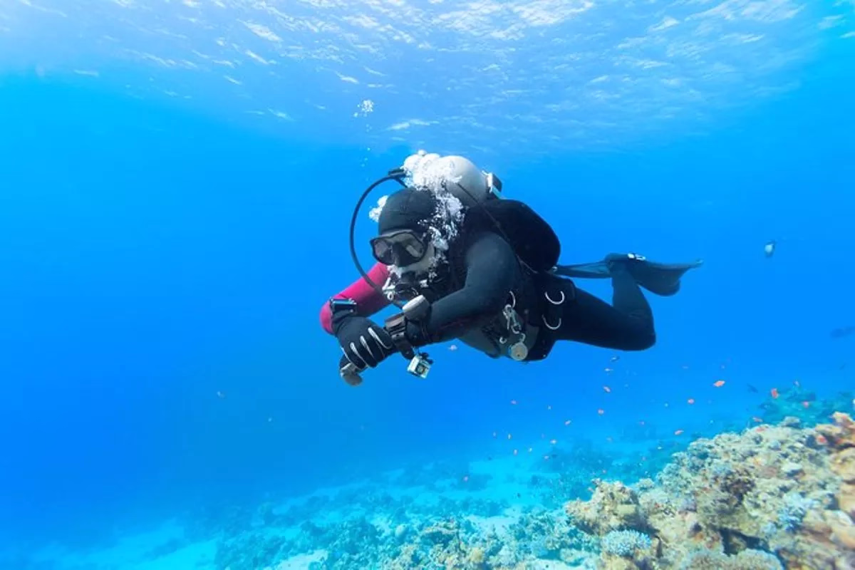 Introductory Dive in Eilat - Image 3
