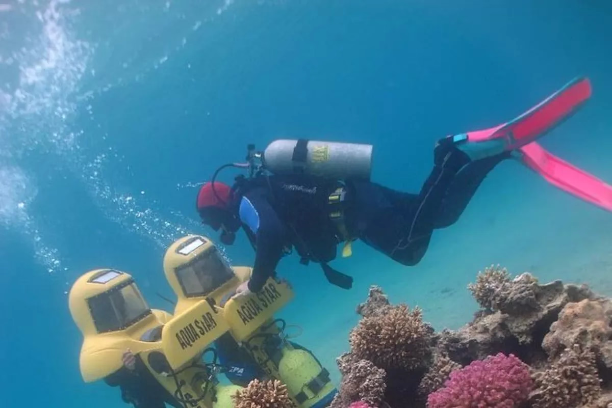 Introductory Dive in Eilat - Image 7