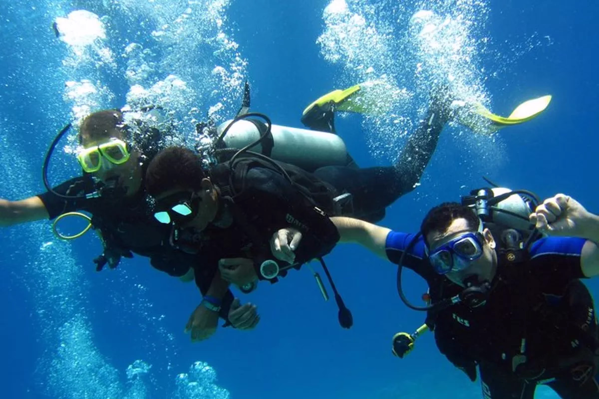 Intro Diving and Snorkeling day Trip - Image 22