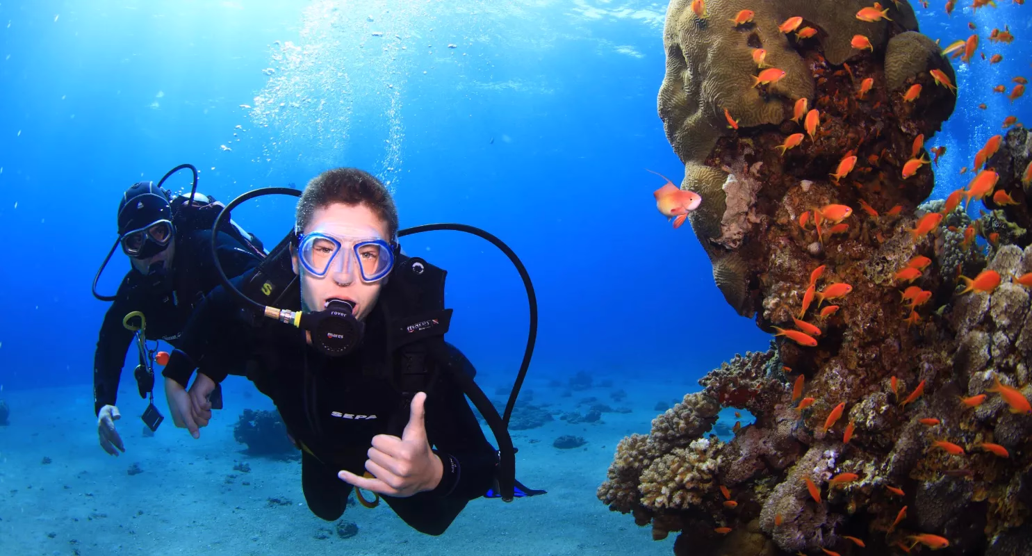 Introductory Dive - Image 2