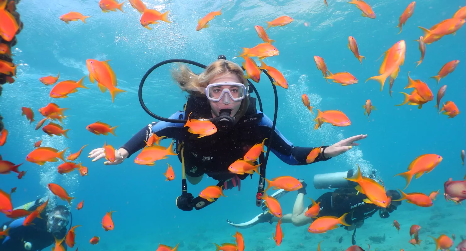 Introductory Dive - Image 5