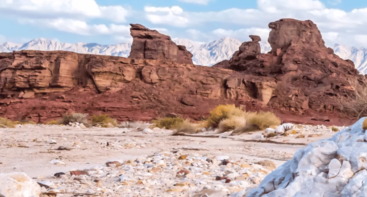 Entrance ticket to Timna Park - Image 1