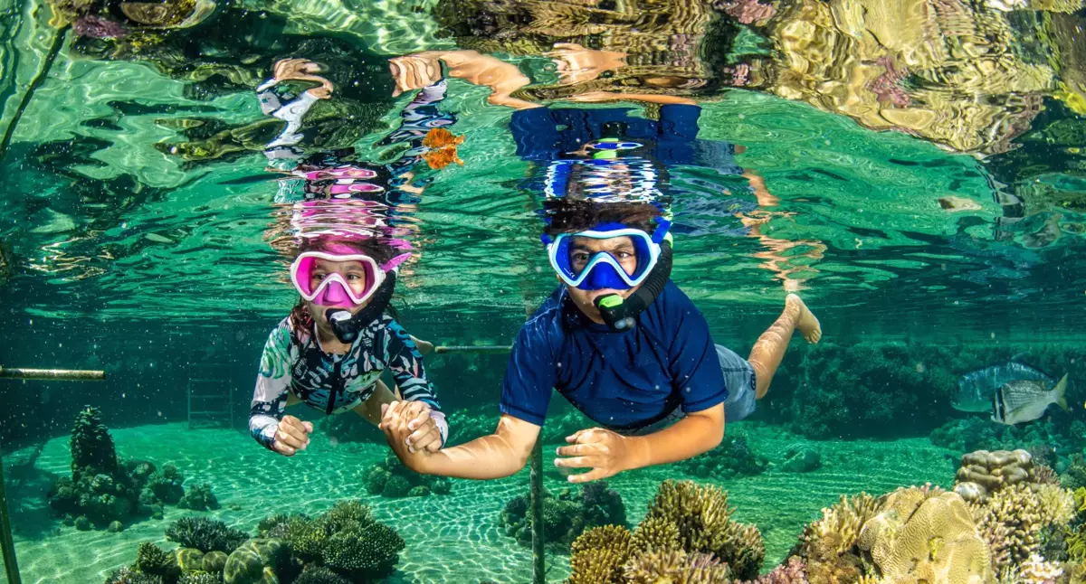 Underwater Observatory Park - Image 2