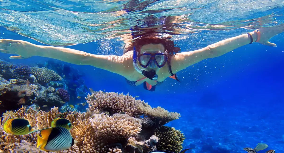 Coral Beach Nature Reserve - Image 1