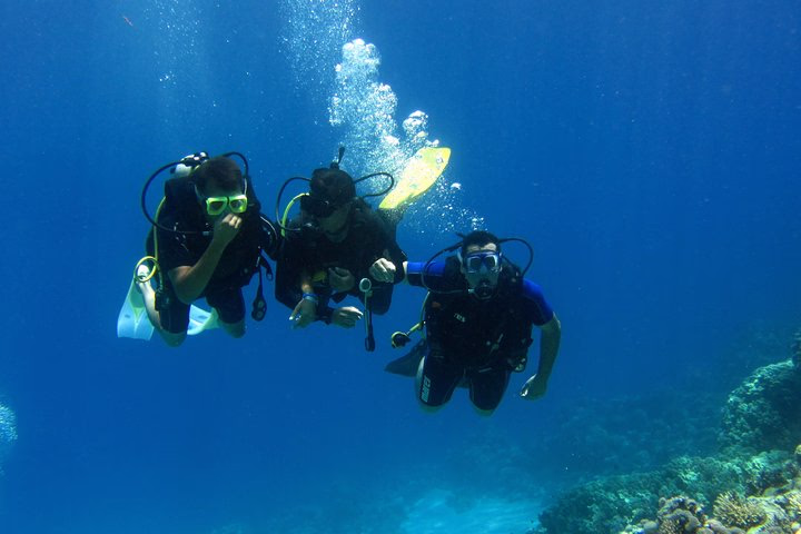 Intro Diving and Snorkeling day Trip - Image 18