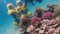 Aqua Star Diving - Image 2