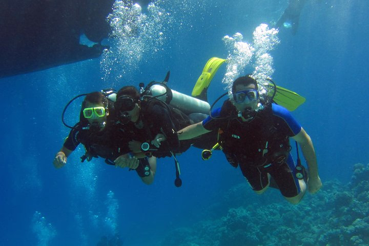 Intro Diving and Snorkeling day Trip - Image 19