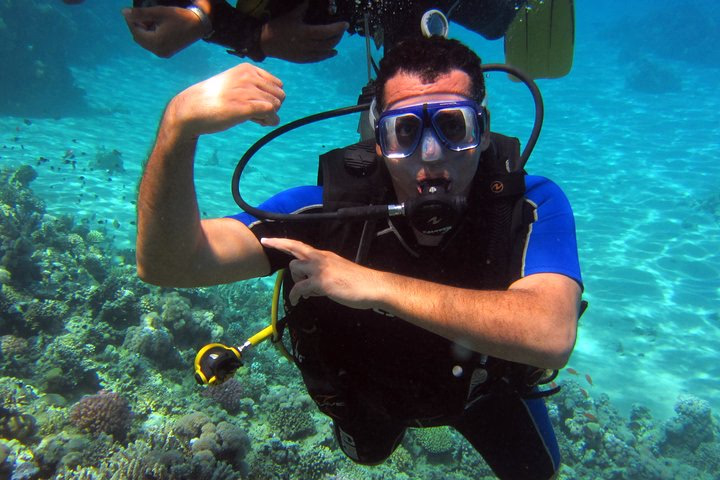 Intro Diving and Snorkeling day Trip - Image 11