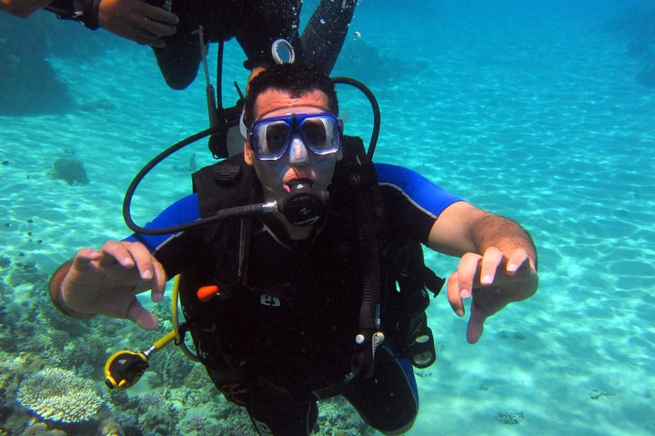 Intro Diving and Snorkeling day Trip - Image 7